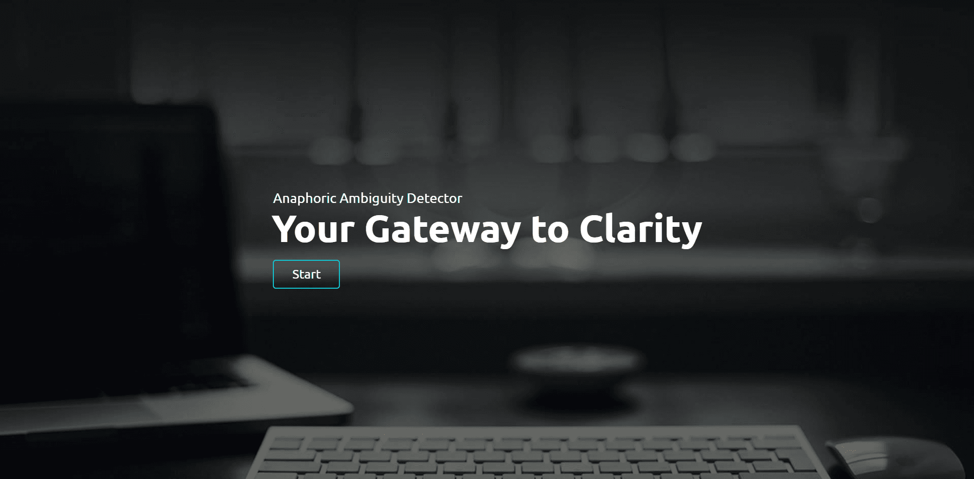 Anaphoric Ambiguity Detector